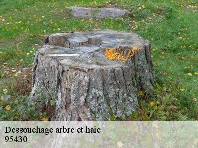 Dessouchage arbre et haie  95430