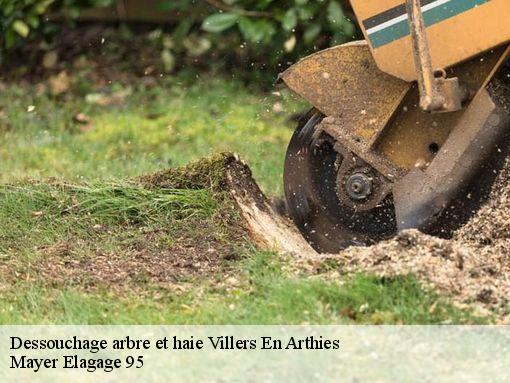 Dessouchage arbre et haie  villers-en-arthies-95510 Mayer Elagage 95