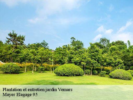 Plantation et entretien jardin  vemars-95470 Mayer Elagage 95